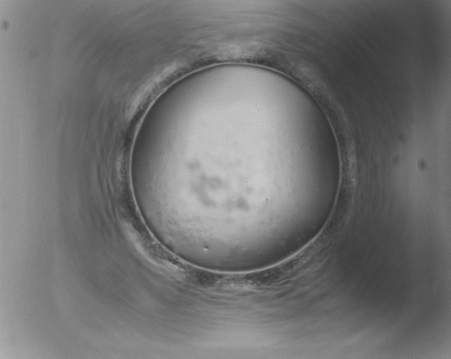 X0000051910491200507082033