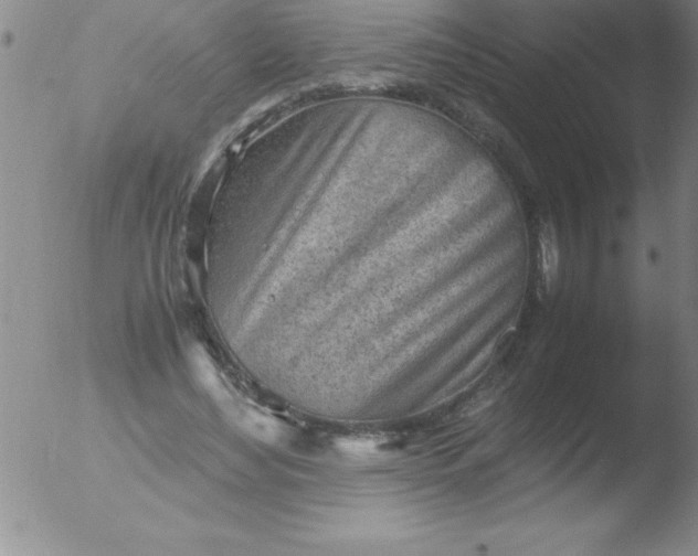 X0000051910492200507082033