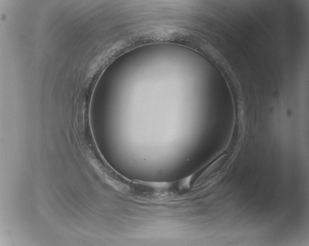 X0000051910493200507082033