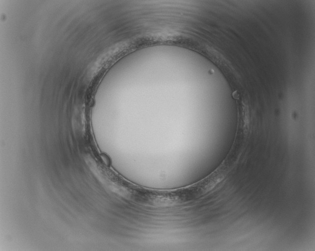 X0000051910494200507082033