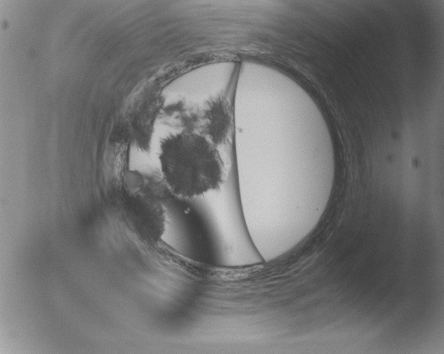 X0000051910495200507082033