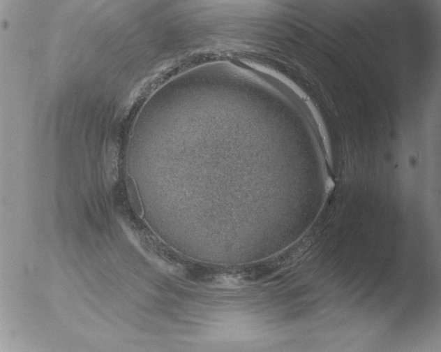 X0000051910496200507082033