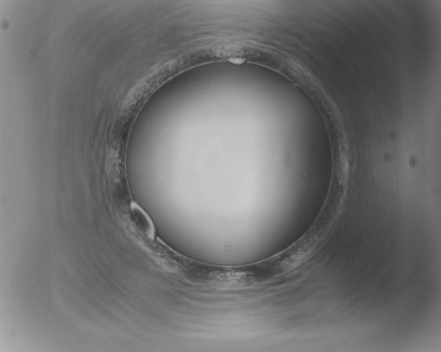 X0000051910497200507082033