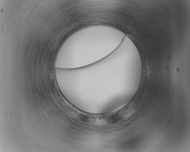 X0000051910498200507082033