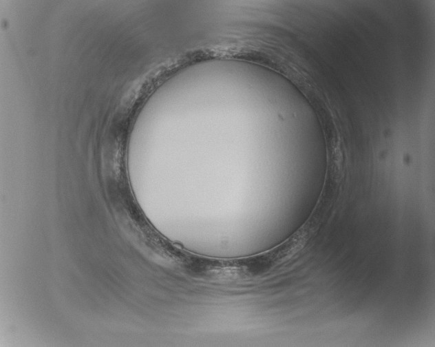 X0000051910499200507082033