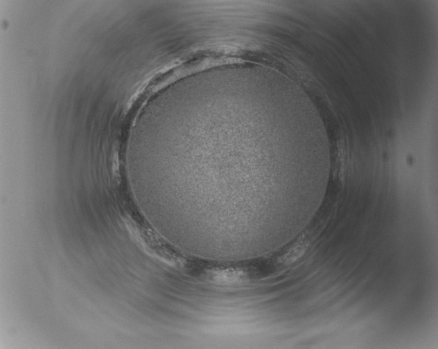 X0000051910500200507082033