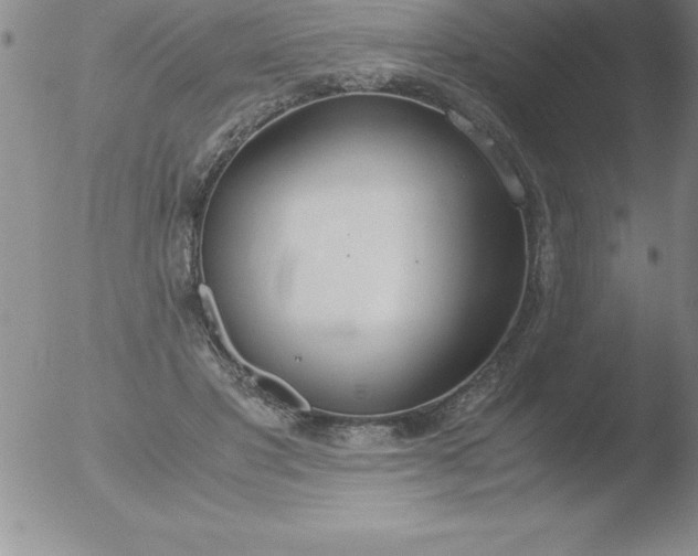 X0000051910501200507082033