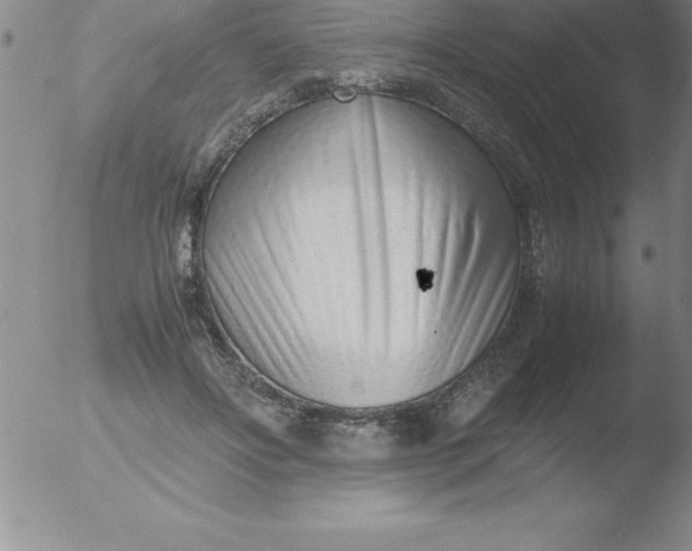 X0000051910502200507082033