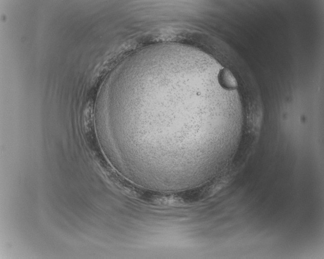 X0000051910503200507082033