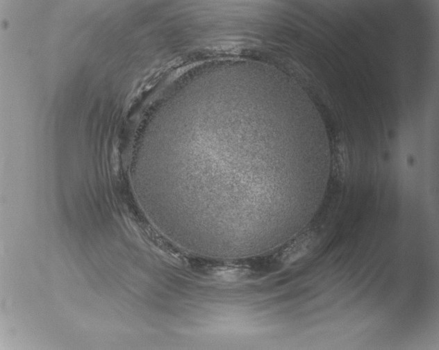 X0000051910504200507082033