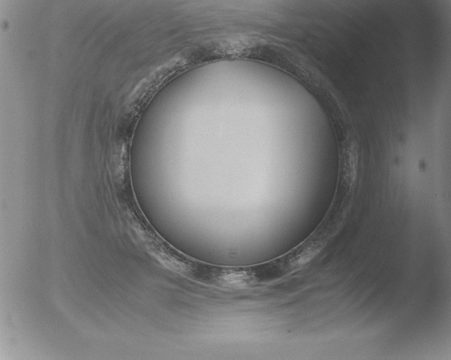 X0000051910505200507082033