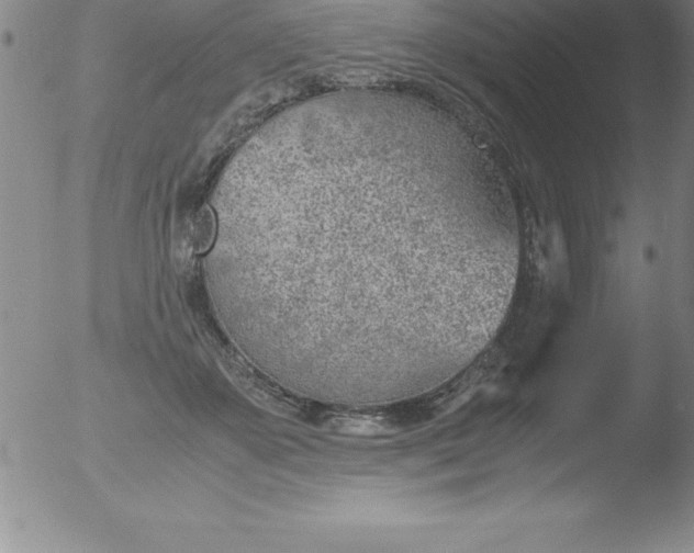 X0000051910507200507082033