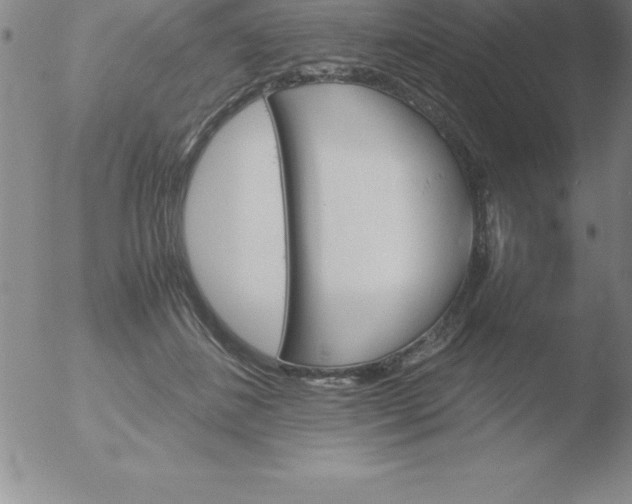 X0000051910508200507082033