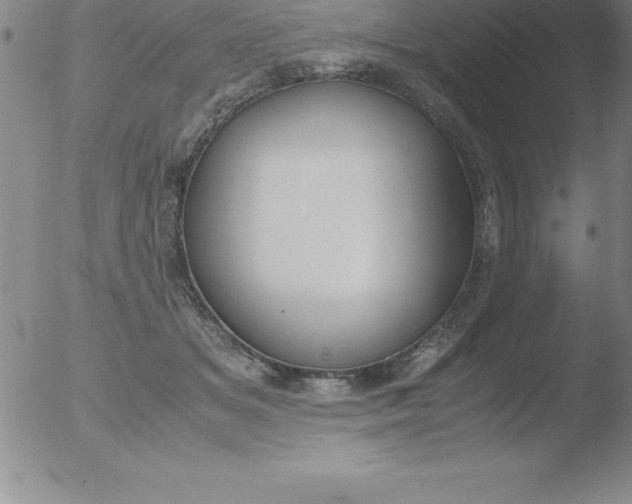 X0000051910509200507082033