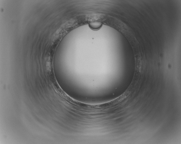 X0000051910510200507082033