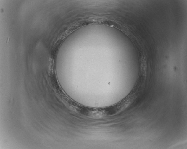 X0000051910511200507082033