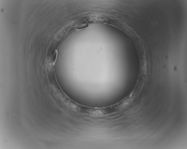 X0000051910513200507082033