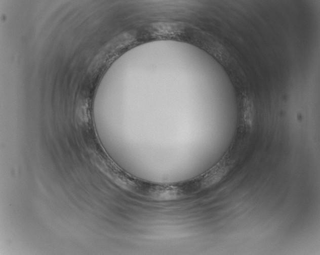 X0000051910514200507082033