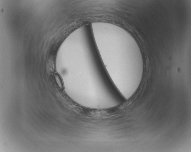 X0000051910517200507082033