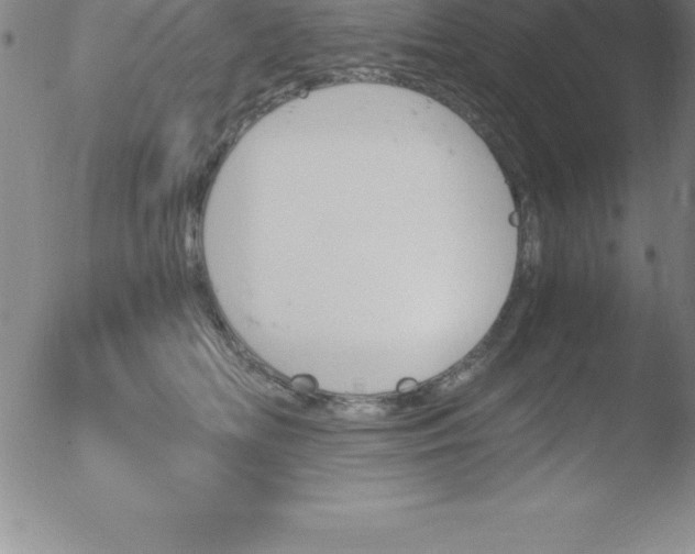 X0000051910518200507082033