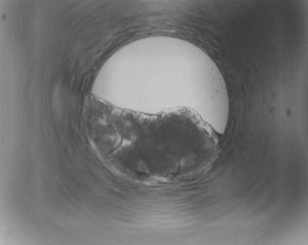 X0000051910519200507082033