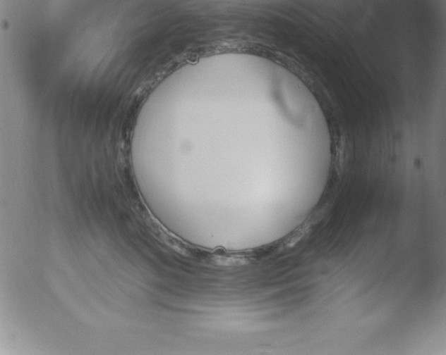 X0000051910520200507082033