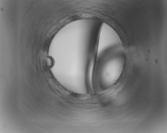 X0000051910521200507082033