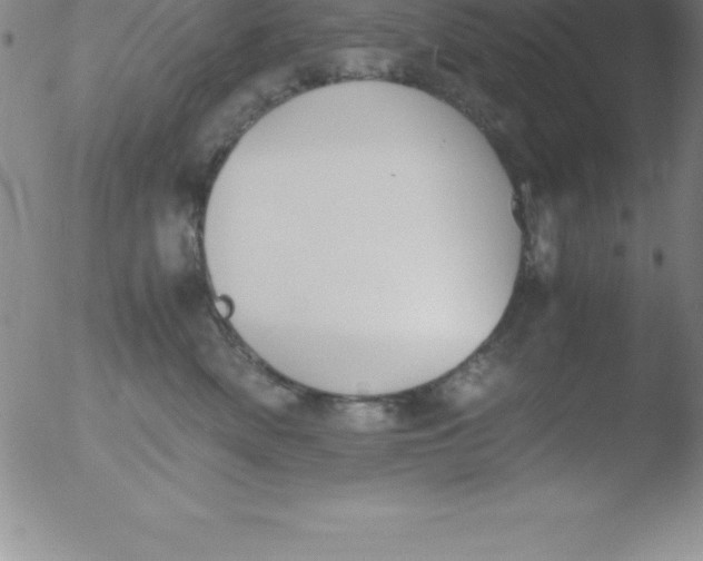 X0000051910522200507082033