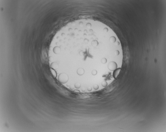 X0000051910523200507082033