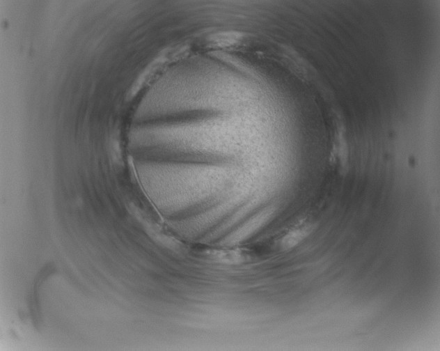 X0000051910524200507082033