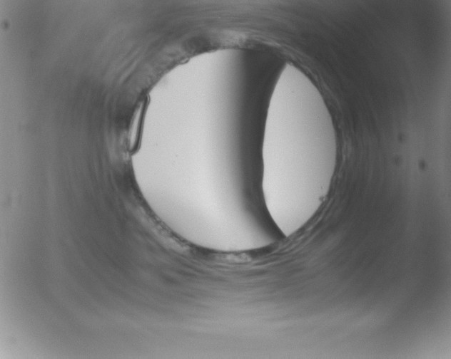 X0000051910525200507082033