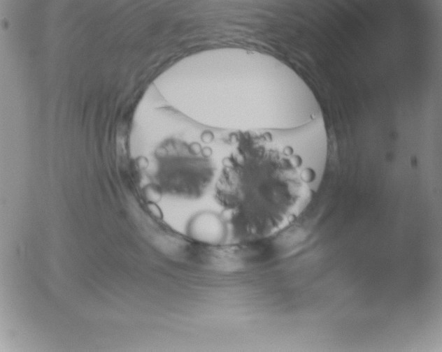 X0000051910527200507082033