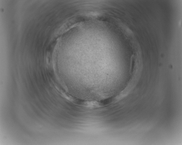 X0000051910528200507082032