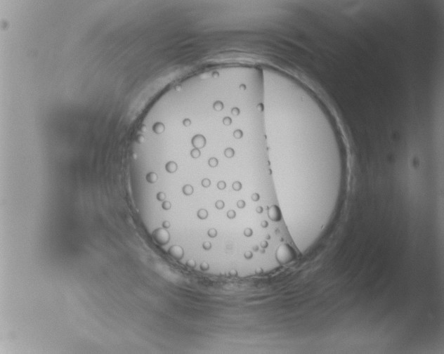 X0000051910529200507082032