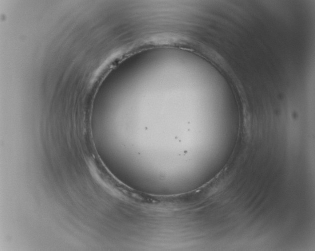 X0000051910530200507082032