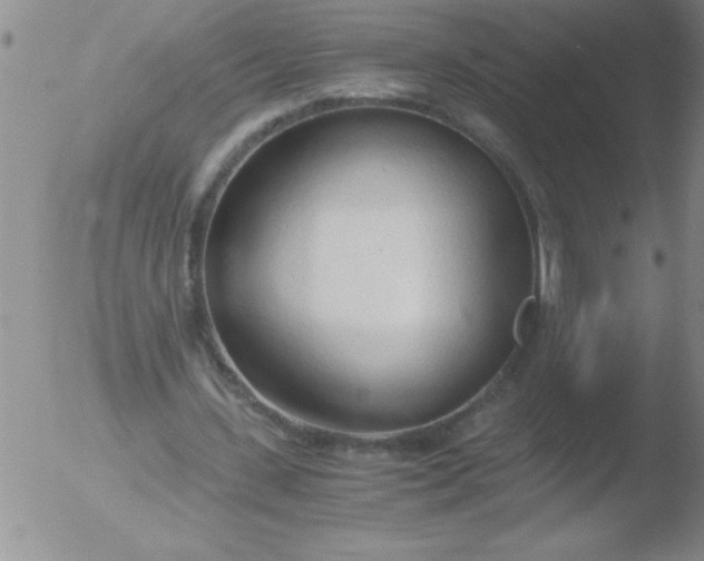 X0000051910531200507082032