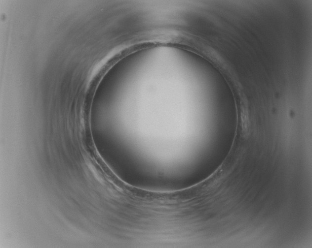 X0000051910532200507082032