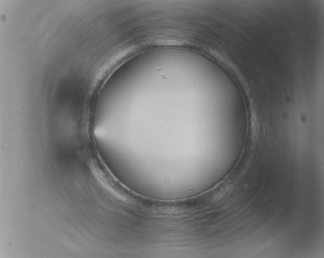 X0000051910533200507082032