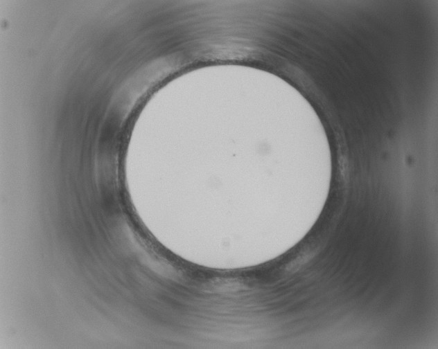 X0000051910534200507082032