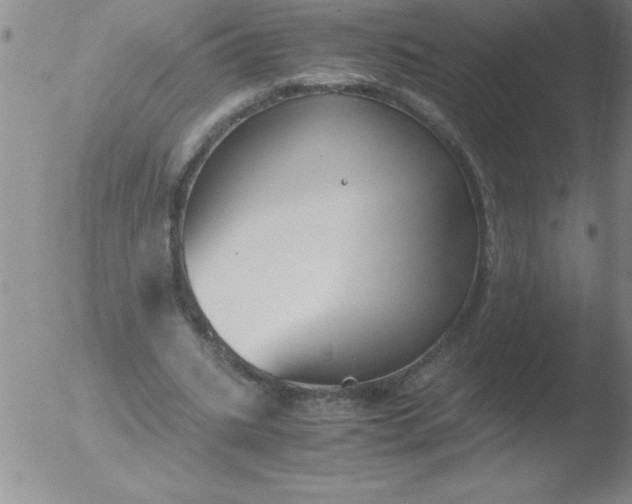 X0000051910535200507082032