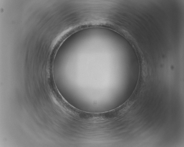 X0000051910536200507082032