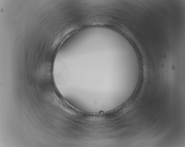 X0000051910537200507082032