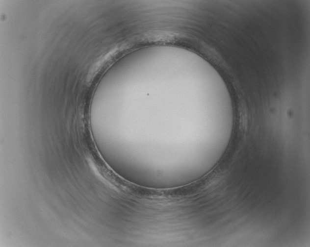 X0000051910538200507082032