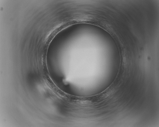 X0000051910539200507082032