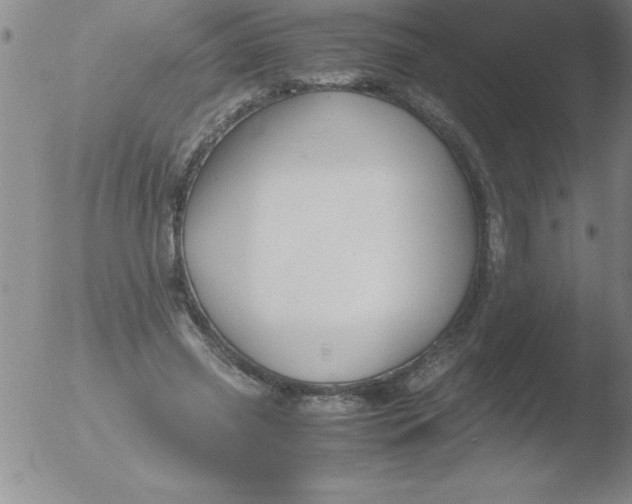 X0000051910541200507082032