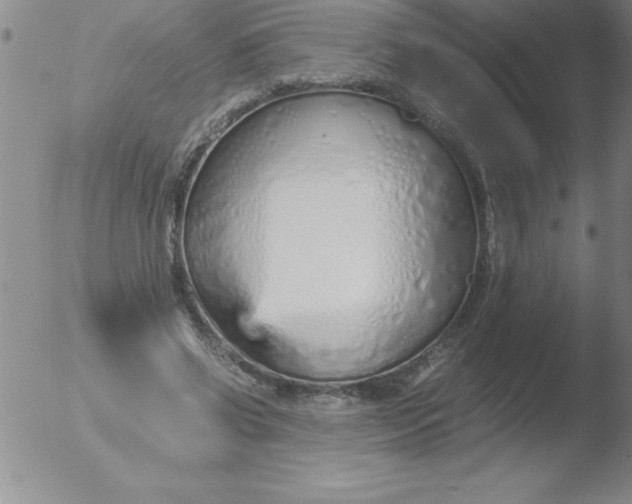 X0000051910542200507082032