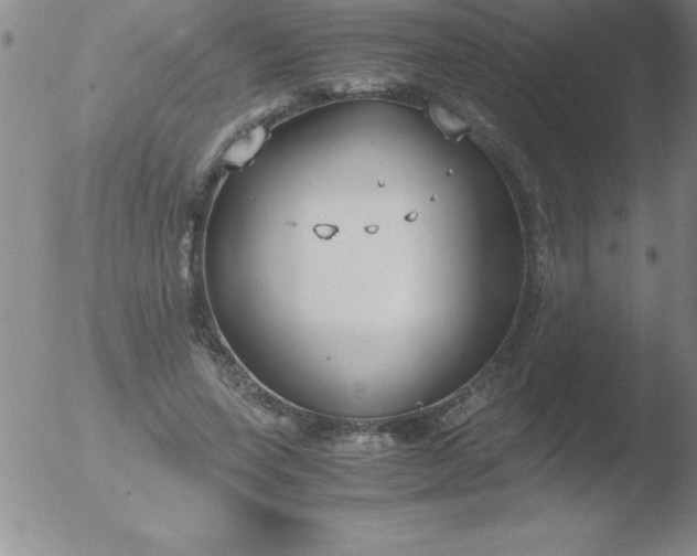 X0000051910543200507082032