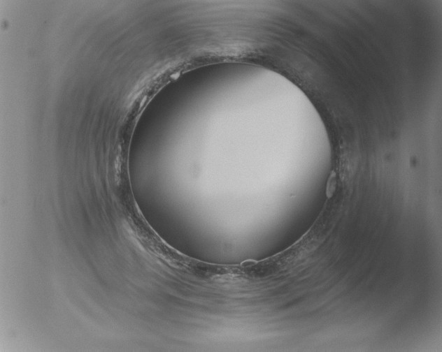 X0000051910544200507082032