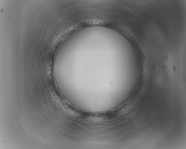 X0000051910545200507082032