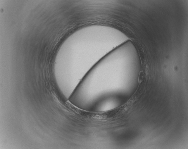 X0000051910546200507082032